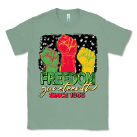 Sage freedom juneteenth since 1865 Classic Tee - BarkalooDesign