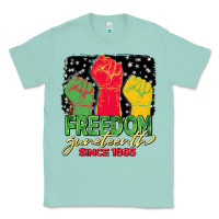 Seafoam freedom juneteenth since 1865 Classic Tee - BarkalooDesign