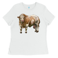 White simmental bull Ladies Tee - LillyAllenDesigns