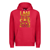 Cardinal i am the one who knocks Premium Hoodie - artisFamous