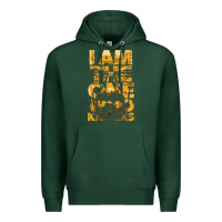 Sports Green i am the one who knocks Premium Hoodie - artisFamous