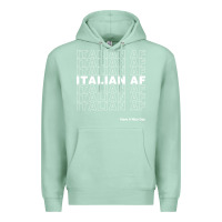 Seafoam italian af Premium Hoodie - artisFamous