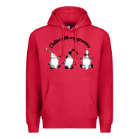 Cardinal chillin' with my gnomies for light Premium Hoodie - artisFamous