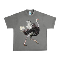 Tornado Ostrich Urban Heavy Tee - LillyAllenDesigns