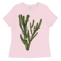 Bubblegum Pink cereus jamacaru Ladies Tee - LillyAllenDesigns