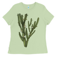 Matcha cereus jamacaru Ladies Tee - LillyAllenDesigns