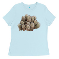 Baby Blue brown flowered cactus Ladies Tee - LillyAllenDesigns