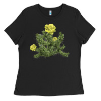 Black whipple cholla cactus Ladies Tee - LillyAllenDesigns
