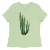 Matcha organ pipe cactus Ladies Tee - LillyAllenDesigns