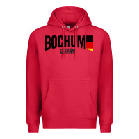 Cardinal Bochum Premium Hoodie - artisFamous