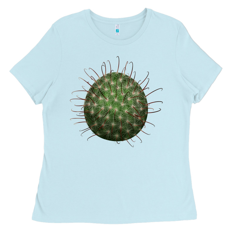Arizona Fishhook Cactus Ladies Tee by LillyAllenDesigns | Teevron