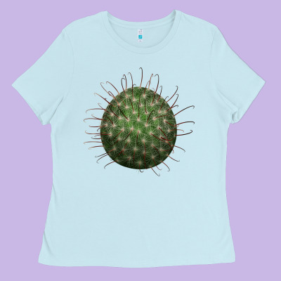 Arizona Fishhook Cactus Ladies Tee Designed By Lillyallendesigns