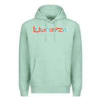 Seafoam Lollapalooza Festival Premium Hoodie - artisFamous