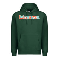 Sports Green Lollapalooza Festival Premium Hoodie - artisFamous