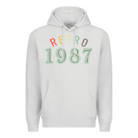 Dove Grey Retro 1987 Premium Hoodie - artisFamous