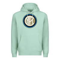 Seafoam Inter Premium Hoodie - artisFamous