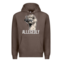 Coffee letterkenny allegedly ostrich funny Premium Hoodie - artisFamous