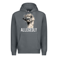 Rock letterkenny allegedly ostrich funny Premium Hoodie - artisFamous