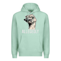 Seafoam letterkenny allegedly ostrich funny Premium Hoodie - artisFamous