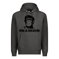 Charcoal Heather viva la evolucion Premium Hoodie - artisFamous