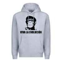 Heather Grey viva la evolucion Premium Hoodie - artisFamous