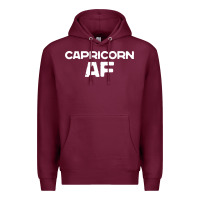 Burgundy capricorn af zodiac sign Premium Hoodie - artisFamous