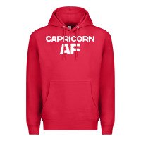 Cardinal capricorn af zodiac sign Premium Hoodie - artisFamous