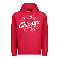 Cardinal chicago Premium Hoodie - artisFamous