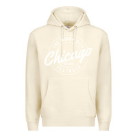 Sandshell chicago Premium Hoodie - artisFamous