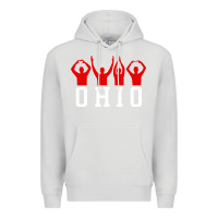 Dove Grey vintage state of ohio home pride Premium Hoodie - artisFamous