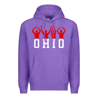 Purple vintage state of ohio home pride Premium Hoodie - artisFamous