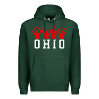 Sports Green vintage state of ohio home pride Premium Hoodie - artisFamous