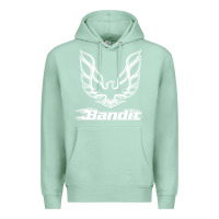 Seafoam bandit Premium Hoodie - artisFamous