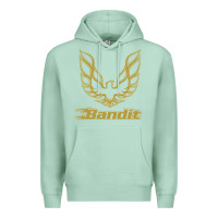 Seafoam bandit Premium Hoodie - artisFamous