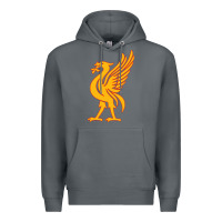 Rock liverpool bird license plate Premium Hoodie - artisFamous