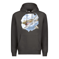 Smoke 40 flying tigers Premium Hoodie - artisFamous