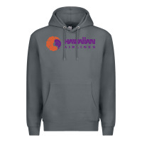 Rock hawaiian airlines Premium Hoodie - artisFamous