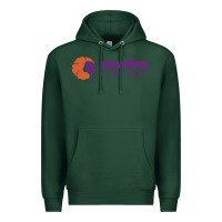 Sports Green hawaiian airlines Premium Hoodie - artisFamous