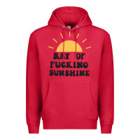 Cardinal ray of sunshine Premium Hoodie - artisFamous