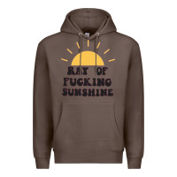 Coffee ray of sunshine Premium Hoodie - artisFamous