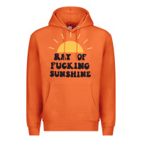 Carrot ray of sunshine Premium Hoodie - artisFamous