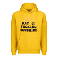 Lemon ray of sunshine Premium Hoodie - artisFamous