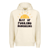 Tofu ray of sunshine Premium Hoodie - artisFamous