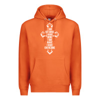 Carrot christian recovery Premium Hoodie - artisFamous