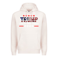 Pale Pink donald trump 2024 take america back election Premium Hoodie - artisFamous