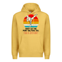 Antique Gold karate girl kick Premium Hoodie - artisFamous