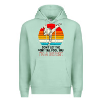 Seafoam karate girl kick Premium Hoodie - artisFamous