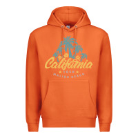 Carrot california malibu beach Premium Hoodie - artisFamous