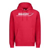 Cardinal boston whaler1 t shirt Premium Hoodie - artisFamous