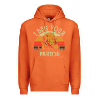 Carrot vintage i beg your parton Premium Hoodie - artisFamous